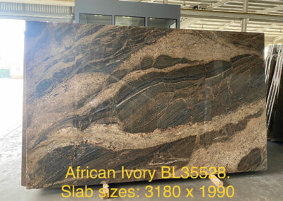 african_ivory_11