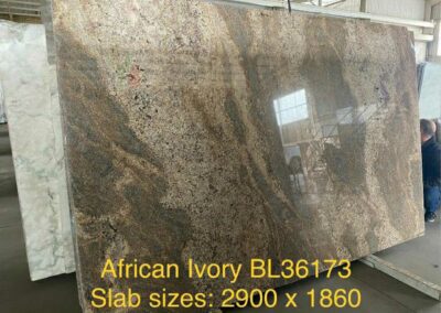 African-Ivory-Archive-img1